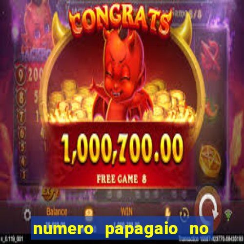 numero papagaio no jogo do bicho