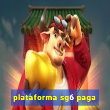 plataforma sg6 paga