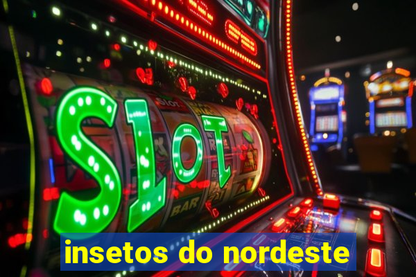 insetos do nordeste