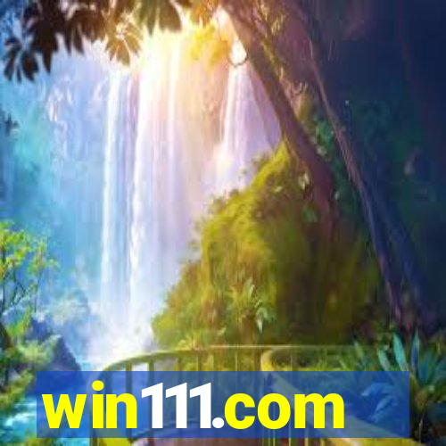 win111.com