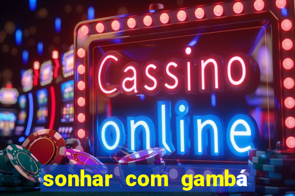 sonhar com gambá jogo do bicho