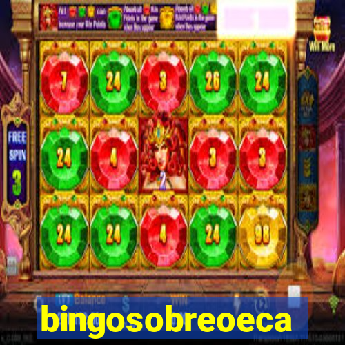 bingosobreoeca